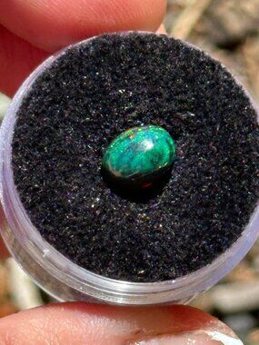 Natural Black Opal *Teal Wonder*
